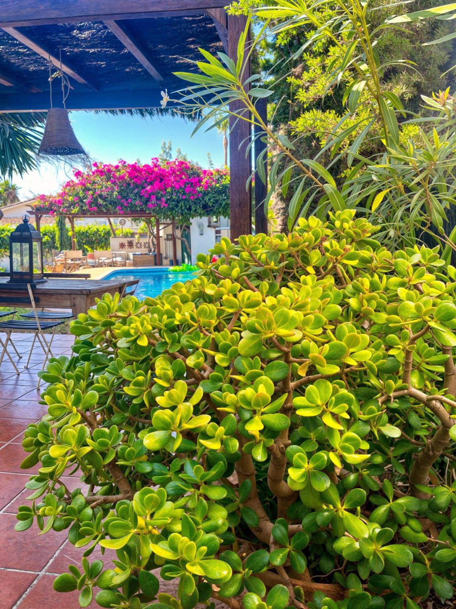 Villa Alfredo - Private Pool Next To The Beach Estepona Buitenkant foto